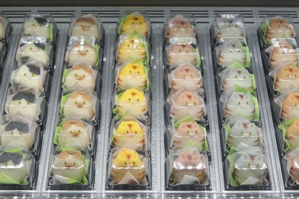 店頭のショーケースには手の込んだデザインの練り切りがずらりと並ぶ
