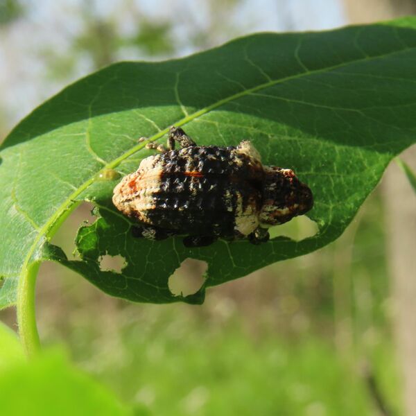 img_bbeea6c0d7b80db0a4b2af21b7