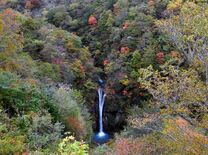 奥那須で深まる秋　那須、駒止の滝の紅葉【動画】
