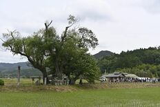 松尾芭蕉が那須で訪れた場所は? 印象的な作品残した足跡たどる