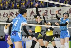 2024春高バレー栃木県代表決定戦最終予選（決勝）