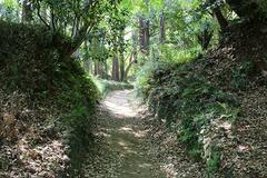 韮山城(にらやまじょう)