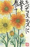 読者登壇