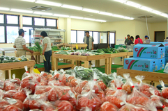 いがしらフレッシュ直売所（ＪＡはが野）　地元食材生かし総菜なども提供