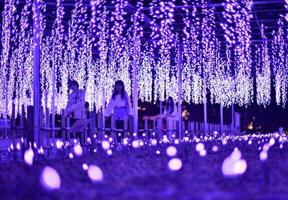 大フジを模したイルミネーション＝18日午後７時55分、足利市迫間町