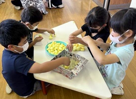 繭の周囲のけばを取る作業
