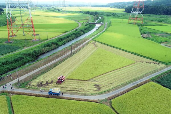 約２ヘクタールの田んぼで、早くも始まった稲刈り＝25日午前９時45分、大田原市滝岡、ドローンから