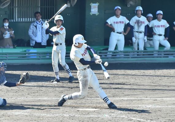 ９回、作新の坂本大が中前に落ちる適時打を放つ＝群馬県高崎市城南野球場