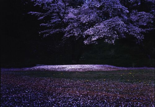 銅賞「マウンド」君島哲郎（宇都宮）