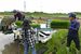 夢ささらの田植え作業