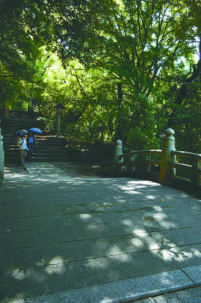 木漏れ日が差す参道