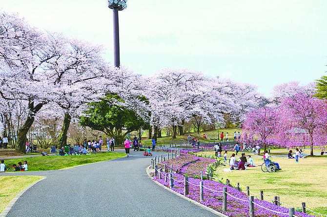 矢板市提供
