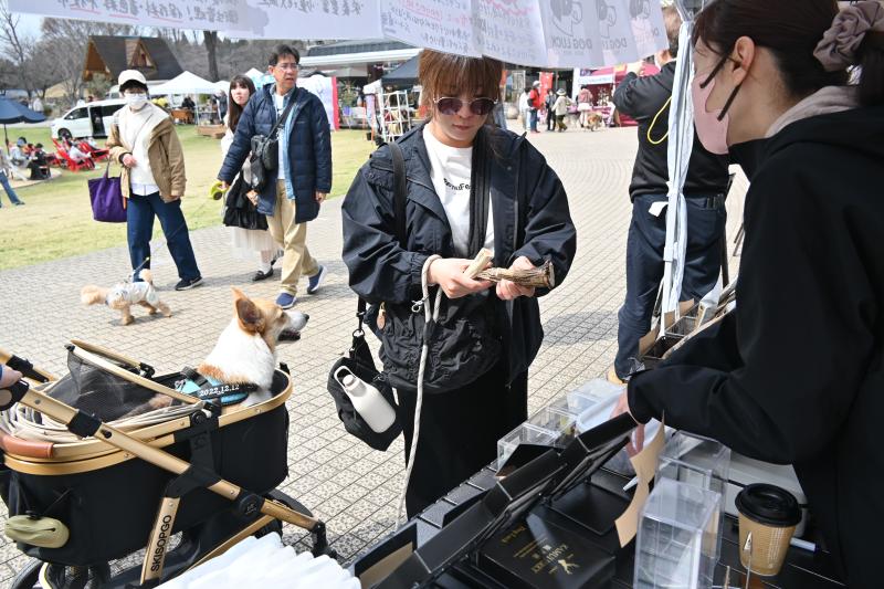 愛犬と楽しむ車中泊体験