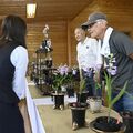 那須烏山でウチョウラン展　多彩な80点展示、26日から