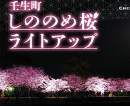 和の明かり 夜桜演出　壬生・東雲公園ライトアップ、26日から