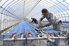 栃木県内、「ナフサ」不足の懸念広がる　中東情勢緊迫化で仕入れ停滞や値上…