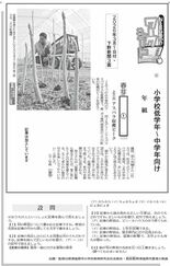 アスパラ収穫ピーク