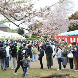花吹雪の中、交流深める　鹿沼の東部台さくらまつり