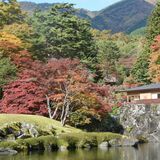 赤や黄色がきれいに映え　古峯神社の古峯園　紅葉色づく　鹿沼