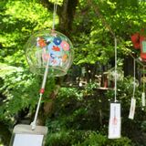 境内に響く涼しげな音色　栃木の出流山満願寺　参道に風鈴70個
