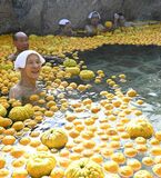 【夕刊】日光で「日本一の風呂」