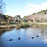 命名権巡り地元住民反発　2000人超の反対署名　那須塩原「烏ケ森公園」