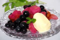 ＜ブルーベリーのしっとりラスク＞１０分で簡単おやつのできあがり　ベリーの酸味がアクセント