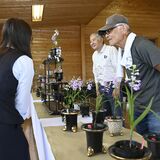 那須烏山でウチョウラン展　多彩な80点展示、26日から
