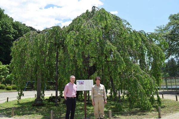 城山西小のシンボル孝子桜の前で映画への支援を呼び掛ける安孫子監督（左）と北條さん＝14日午前、宇都宮市城山西小校庭