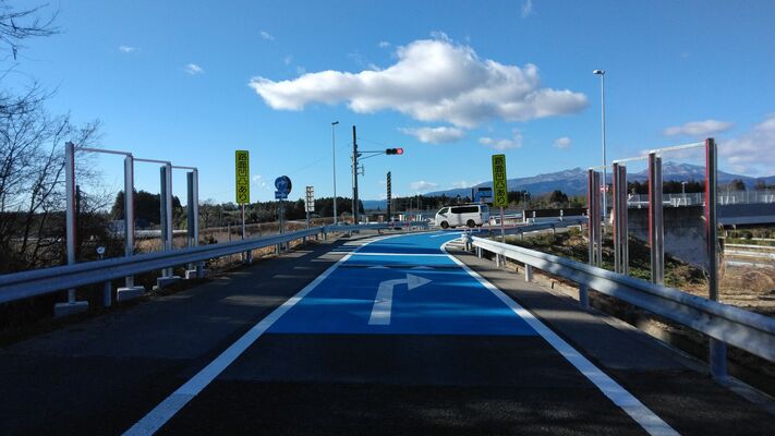 矢印路面標示の先に設置されたウェッジハンプ(県提供)