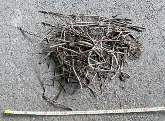 　東北新幹線大宮駅の電柱で巡回中の社員が発見し、撤去されたカラスの巣（ＪＲ東日本提供）