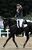 馬術成年男子トップスコア　ニック・オブ・タイム号を操り、優勝した広田龍馬＝那須塩原市の地方競馬教養センター