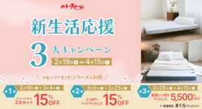 新生活に必要な寝具には良いものを長く使いたい方に朗報! カラーフォーム…