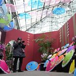 新年の彩り華々しく　とちぎ花センターで企画展　タイや米国の催し紹介