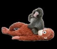 子ザル「パンチ」寄付ガイド公表