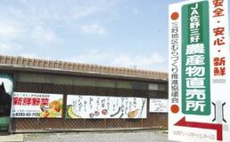 夏の希少品、葉ショウガＪＡ佐野 三好農産物直売所