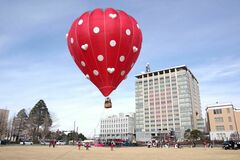 【夕刊】全国のイチゴ食べ比べパックはいかが
