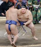 大の里3連勝、豊昇龍は2勝目