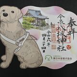 盲導犬の育成支援へ　点字付き御朱印頒布開始　宇都宮・今泉八坂神社