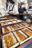 土用の丑の日　うなぎ料理