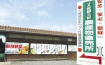 夏の希少品、葉ショウガＪＡ佐野 三好農産物直売所