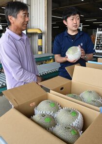真岡でメロン初出荷