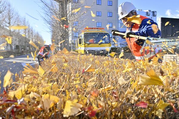 生け垣に積もった落ち葉を清掃する作業員