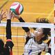 瑞穂野南25年ぶり女王　バレーボール 全日本県大会　男子・清原南3連覇　混合の日光2年ぶり