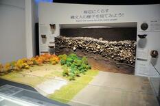 【Tokyo とことこ散歩】貝塚や日本画家ゆかりの地 大森周辺、ボタン…