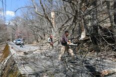 宇都宮の突風「ダウンバースト」の可能性　風速推定40m　2日も強風、倒…