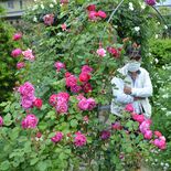 丹精のバラ、草花と共演　那須烏山の荒井さん　庭園を公開