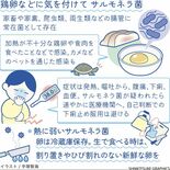 サルモネラ菌　卵は割り置きなどせずに　冷蔵保存し、賞味期限内に【白鷗大…