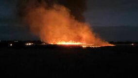 【夕刊】渡良瀬遊水地で火災、延焼中