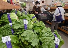 野菜高騰